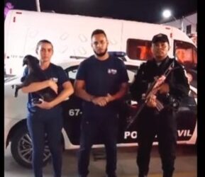 Homem é preso por maus-tratos animal em Macaé