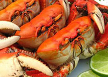 1º Festival do Caranguejo de São Francisco de Itabapoana acontece neste sábado