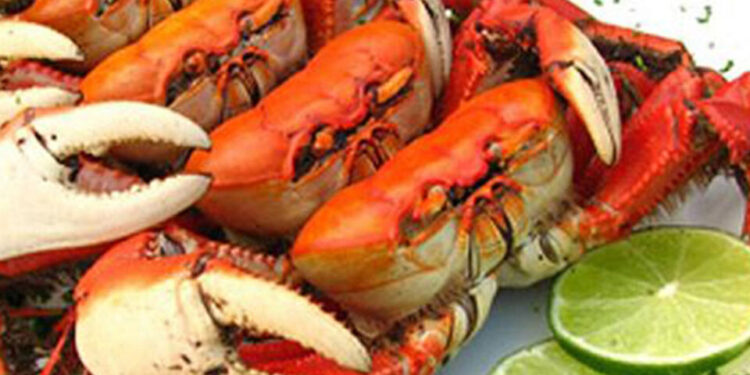 1º Festival do Caranguejo de São Francisco de Itabapoana acontece neste sábado