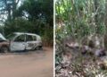 Corpos são encontrados em áreas de mata no segundo distrito de Cabo Frio