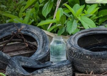 MPRJ expede recomendações a 18 municípios para que adotem ações de combate à dengue