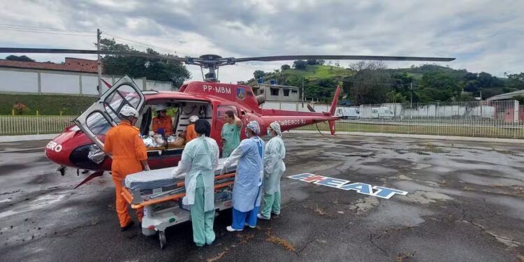 Escritora é resgatada em estado grave após ser atacada por Pitbulls em Saquarema