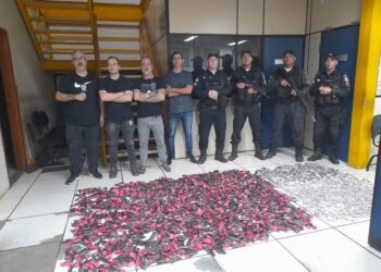 Mulher presa com 15kg de drogas em Itaperuna é solta em audiência de custódia