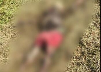 Corpo, em avançado estado de decomposição, é encontrado em área de vegetação de Guarus