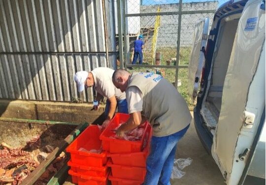 Defesa Agropecuária apreende 150 quilos de filé de peixe sem refrigeração