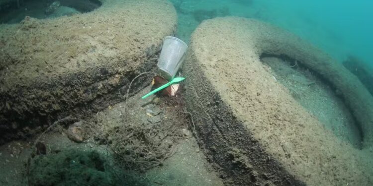 Latinhas, pneus e plásticos: mergulhadores retiram lixo do fundo do mar em Arraial do Cabo
