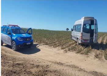 Homem, suspeito de furto de Van em SFI, se joga do alto de árvore ao fugir da PM