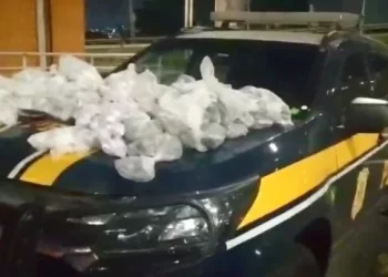 PRF prende dupla transportando cerca de 25kg de drogas para Saquarema