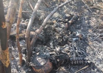 Trabalhadores rurais encontram cadáver em assentamento