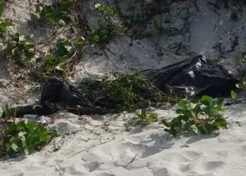 Mulher é encontrada morta, com sinais de estrangulamento, na Praia do Forte, em Cabo Frio