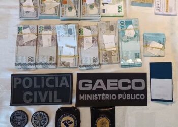 MP e Receita Federal investigam sonegação de quase R$ 1 bilhão em venda de gado
