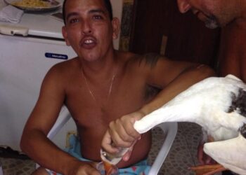 Maurício BM pré-candidato a Prefeito de Rio das Ostras tenta afogar o ganso à força