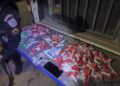 PM apreende adolescente e drogas após troca de tiros em Rio das Ostras