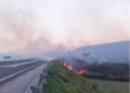 Com 63 focos de incêndio em um mês, Arteris faz alerta sobre fogo em vegetação na BR-101
