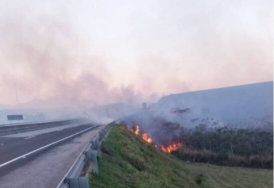 Com 63 focos de incêndio em um mês, Arteris faz alerta sobre fogo em vegetação na BR-101