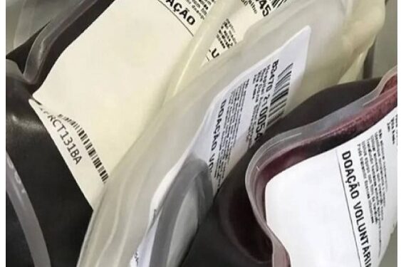 STF permite que Testemunhas de Jeová recusem transfusão de sangue em tratamentos médicos