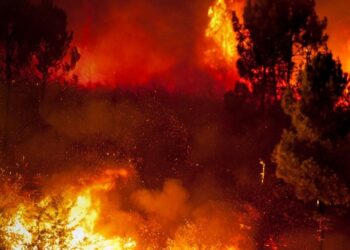 MPRJ instaura procedimentos para acompanhar plano de atuação de combate a incêndios florestais em Carapebus e Quissamã