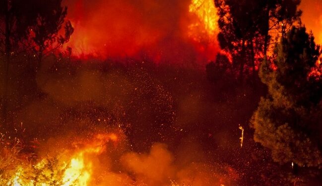 MPRJ instaura procedimentos para acompanhar plano de atuação de combate a incêndios florestais em Carapebus e Quissamã
