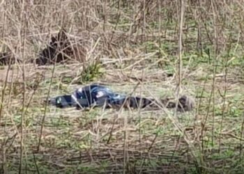 Corpo de mulher é encontrado dentro da antiga Usina São João