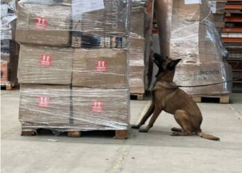 Receita Federal apreende em transportadora droga que seria entregue em Campos