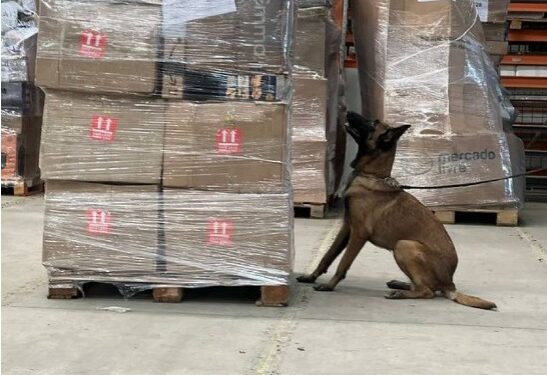 Receita Federal apreende em transportadora droga que seria entregue em Campos