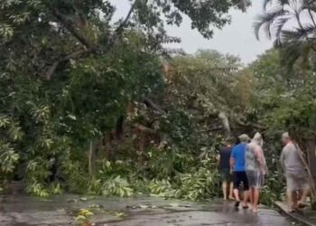 Chuva e vento matam 3, deixam navio à deriva, afetam transportes e derrubam árvores no RJ