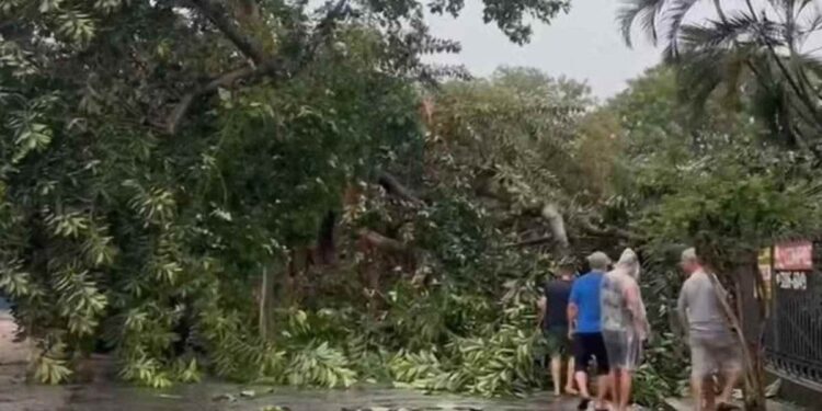 Chuva e vento matam 3, deixam navio à deriva, afetam transportes e derrubam árvores no RJ