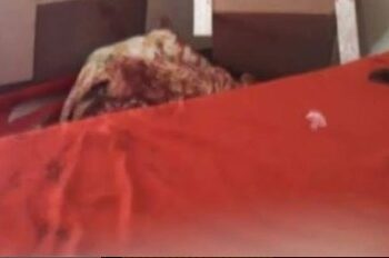 Idoso acusado de estupro é assassinado dentro de casa em SFI