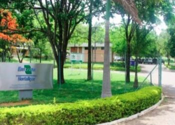 Embrapa publica edital de concurso com 1.027 vagas e salário de até R$12,8 mil