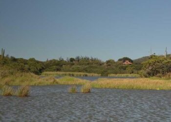 MPRJ recomenda a gestão integrada de resíduos sólidos e a suspensão das obras de revitalização na Lagoa de Geribá, em Búzios