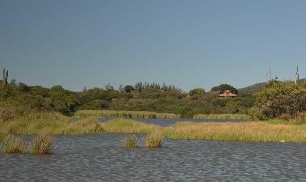 MPRJ recomenda a gestão integrada de resíduos sólidos e a suspensão das obras de revitalização na Lagoa de Geribá, em Búzios