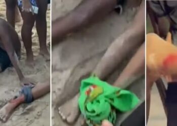 Cardume de peixe-espada ataca e fere 7 banhistas em praia de Rio das Ostras