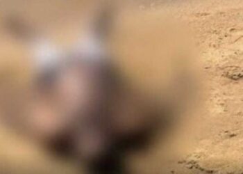 Homem morre afogado em Lagoa de Cima, em Campos