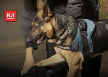 Duas pessoas são presas em Trajano de Moraes durante operação do MPRJ