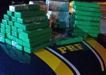 PRF apreende 74 kg de maconha em abordagem na BR-101