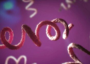 MPRJ acompanha políticas públicas de prevenção e enfrentamento à sífilis em Macaé e Rio das Ostras