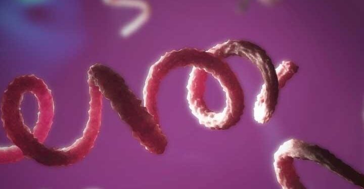 MPRJ acompanha políticas públicas de prevenção e enfrentamento à sífilis em Macaé e Rio das Ostras