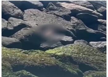 Corpo é encontrado com marcas de violência no Canto das Pedras, na Praia do Açu