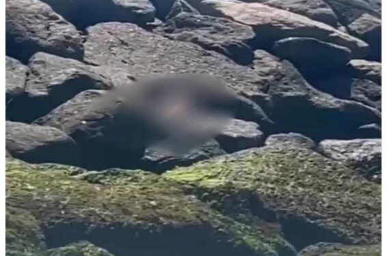 Corpo é encontrado com marcas de violência no Canto das Pedras, na Praia do Açu