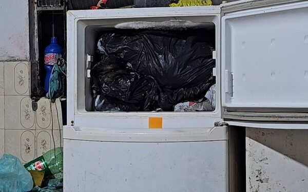 Cardiologista é preso com cães mortos no freezer 