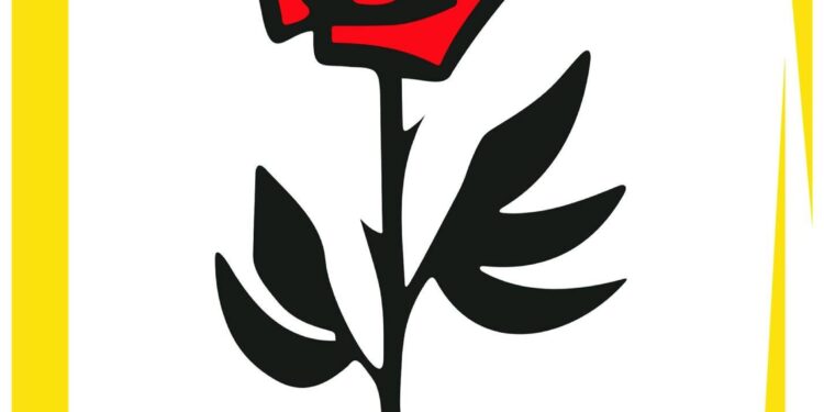 Quando o amor de mãe muda destinos: a história de Oneida Terra