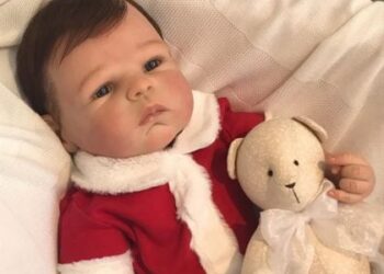 Câmara aprova Dia da Cegonha Reborn