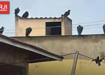 Corpo de homem é encontrado dentro de residência