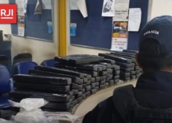 PF prende casal com drogas , na BR-101