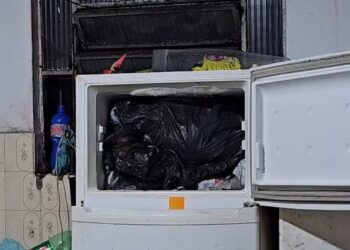 Médico é investigado por manter animais congelados em casa; Cremerj abre sindicância