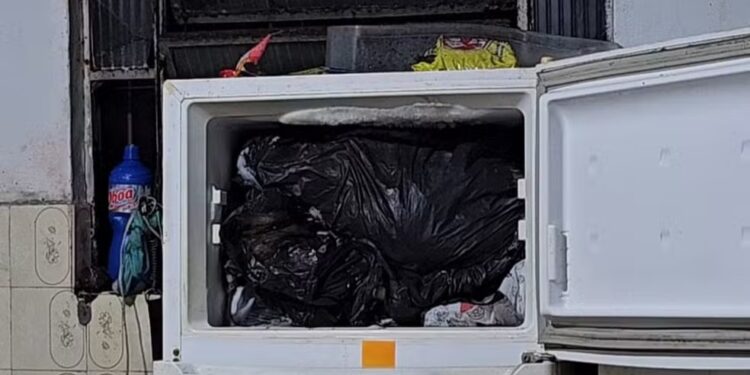 Médico é investigado por manter animais congelados em casa; Cremerj abre sindicância