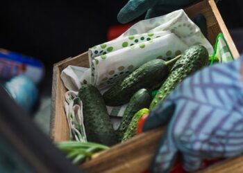 Justiça obriga fornecimento emergencial de alimentos e itens de higiene em abrigos infantis