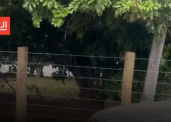 Cercas à beira da lagoa causam revolta e levantam suspeita de ocupação irregular