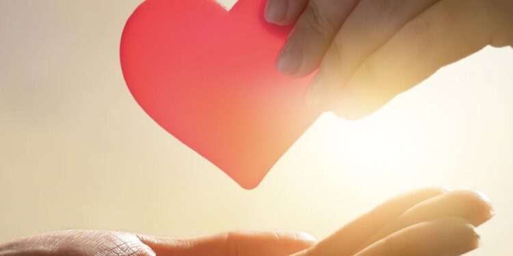 Órgãos transplantados têm prazo de duração e exigem cuidados para toda a vida