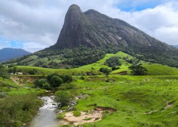 MPRJ investiga destruição em área de preservação em Macaé